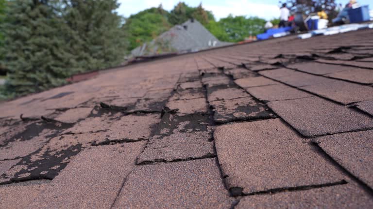 Best Commercial Roofing Services  in Oronogo, MO